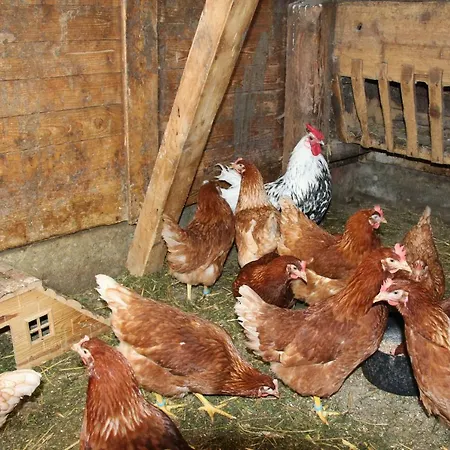 Feldlhof בית חווה *