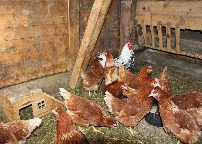 Feldlhof Фермерский дом *